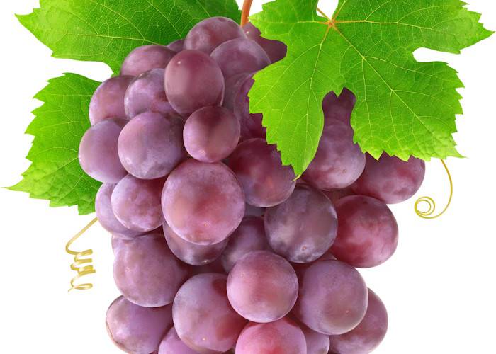 Red grapes for Anti-Aging